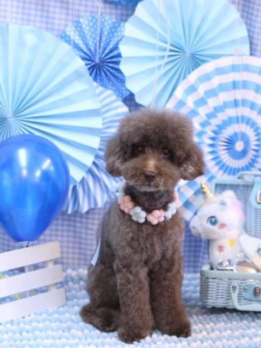 20231116きょうのちゃん